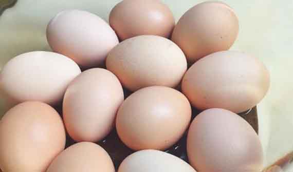 血脂高的人，吃鸡蛋有危害吗？怎样吃才算健康？不少人吃错了
